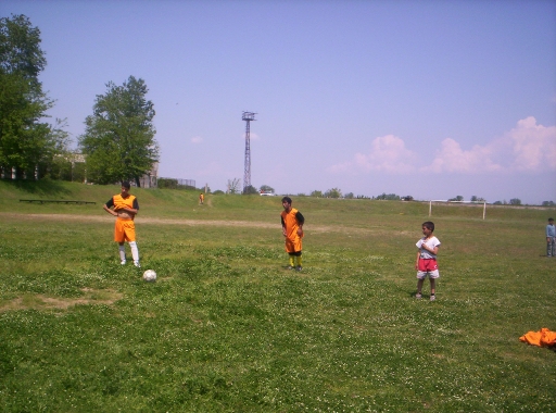 Picture 049